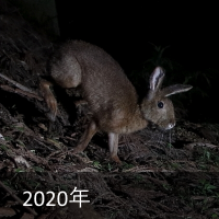 2020N