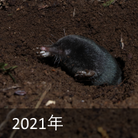 2021N