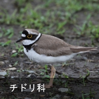 `h