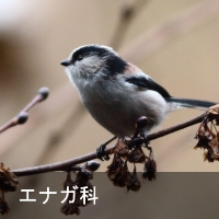 GiK