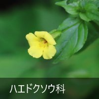 nGhN\E