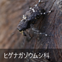 qQiK]EV