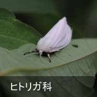 qgK