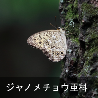 Wm`E