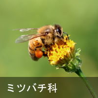 ~co`
