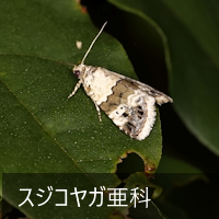 XWRK