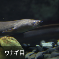 EiM