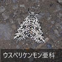 EXxP